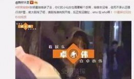娱乐圈在线爆料视频